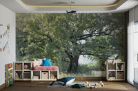 Peaceful nature art for walls
