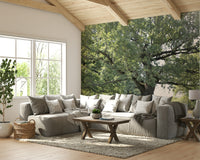 Nature photography wallpaper for walls
