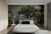 Peaceful oak grove mural wallpaper
