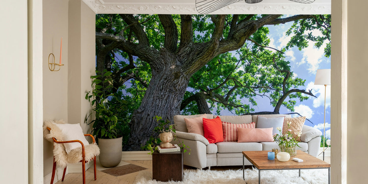 Oak tree mural wallpaper
