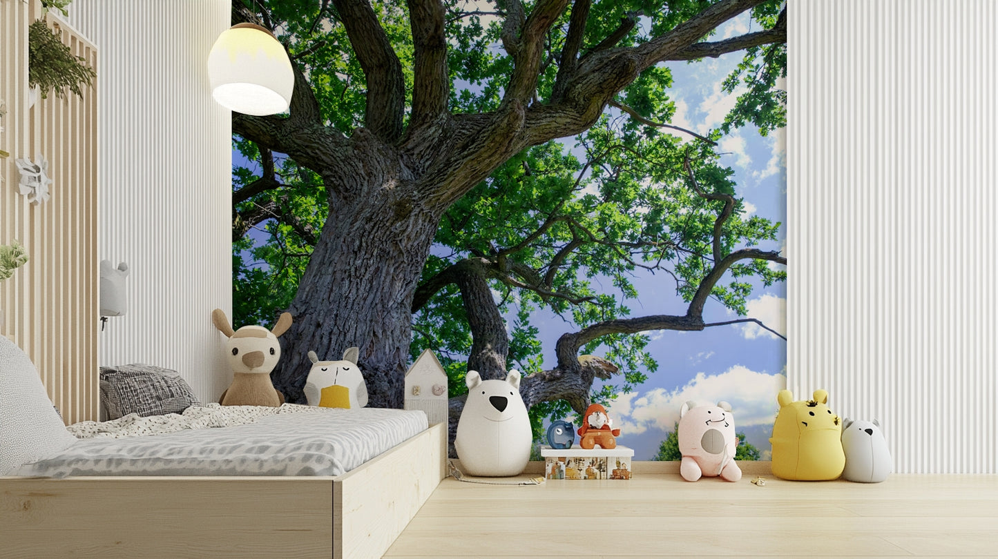 Tree under open sky wallpaper
