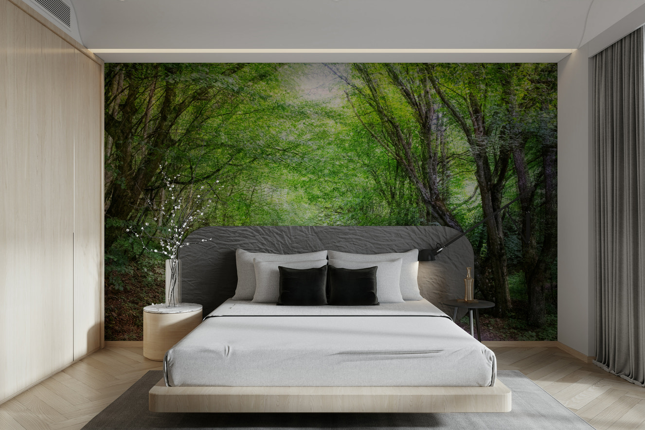 Sunlit forest path mural wallpaper
