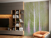 Wall mural showing an artistic, soft-focus photo of a birch tree forest.

