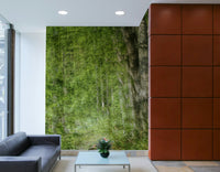 Nature photography print of a serene woodland scene.

