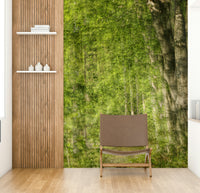 Ideal wallpaper for a bedroom, living room, or meditation area.

