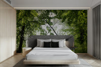 Ideal wallpaper for a bedroom, living room, or meditation area.

