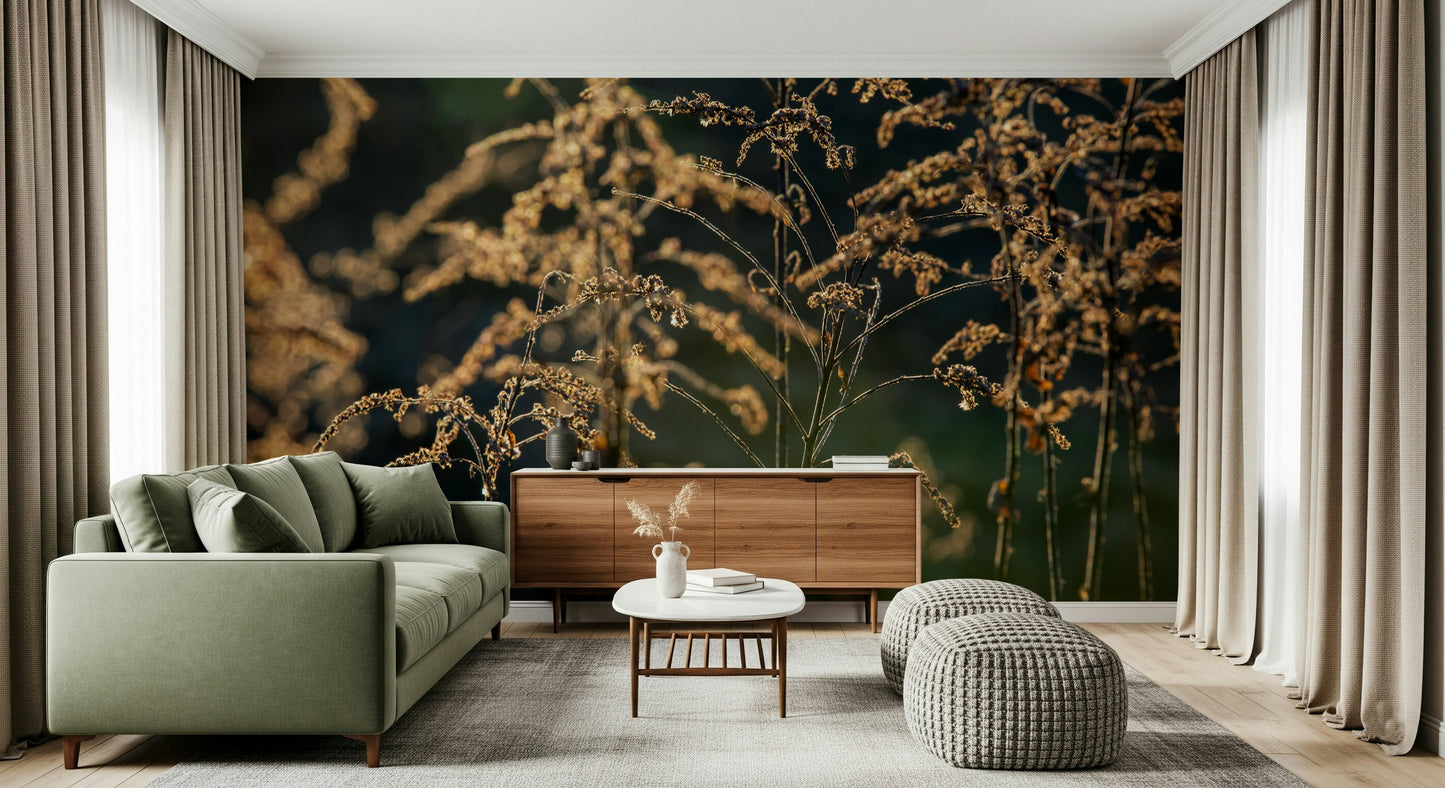 Golden Hour Serenity: Nature's Delicate Flora Photography Wall Mural