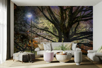 Ethereal park scene at night.

