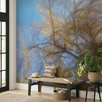 Ethereal and abstract nature art photography.

