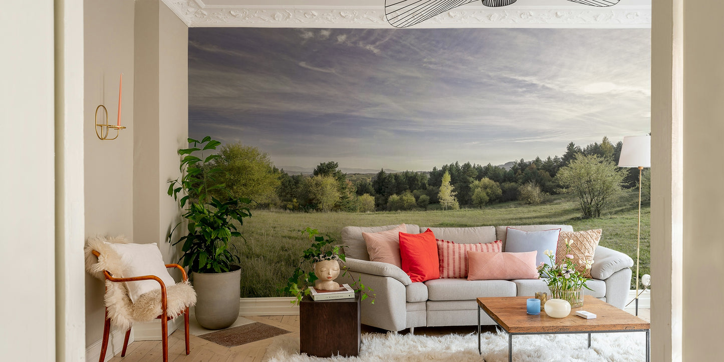 Tranquil and calming outdoor scene.

