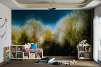 Soft focus and dreamlike quality.

