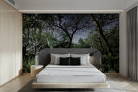 Inviting and expansive outdoor feel.

