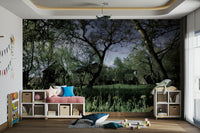 High-resolution image of a natural landscape.

