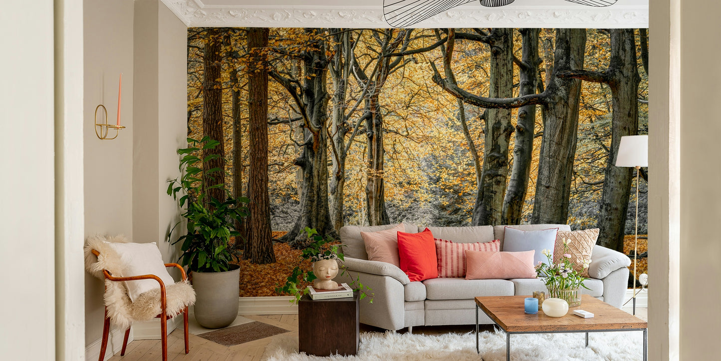 Tall, mature trees with textured bark.

