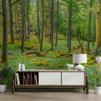 Lush green foliage and tall trees.

