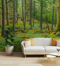 Verdant greens and earthy browns.

