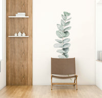 Focus on natural textures and gentle light.

