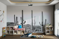 High-resolution image of Saguaro cacti.

