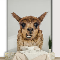 Sense of joy, humor, and heartwarming appeal.

