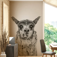 Adorable animal photography or illustration.

