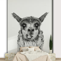 Inviting and comforting aesthetic.

