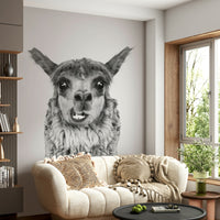 Ideal for a child's room, nursery, living room, or study.

