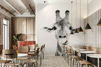 Inviting and comforting aesthetic.

