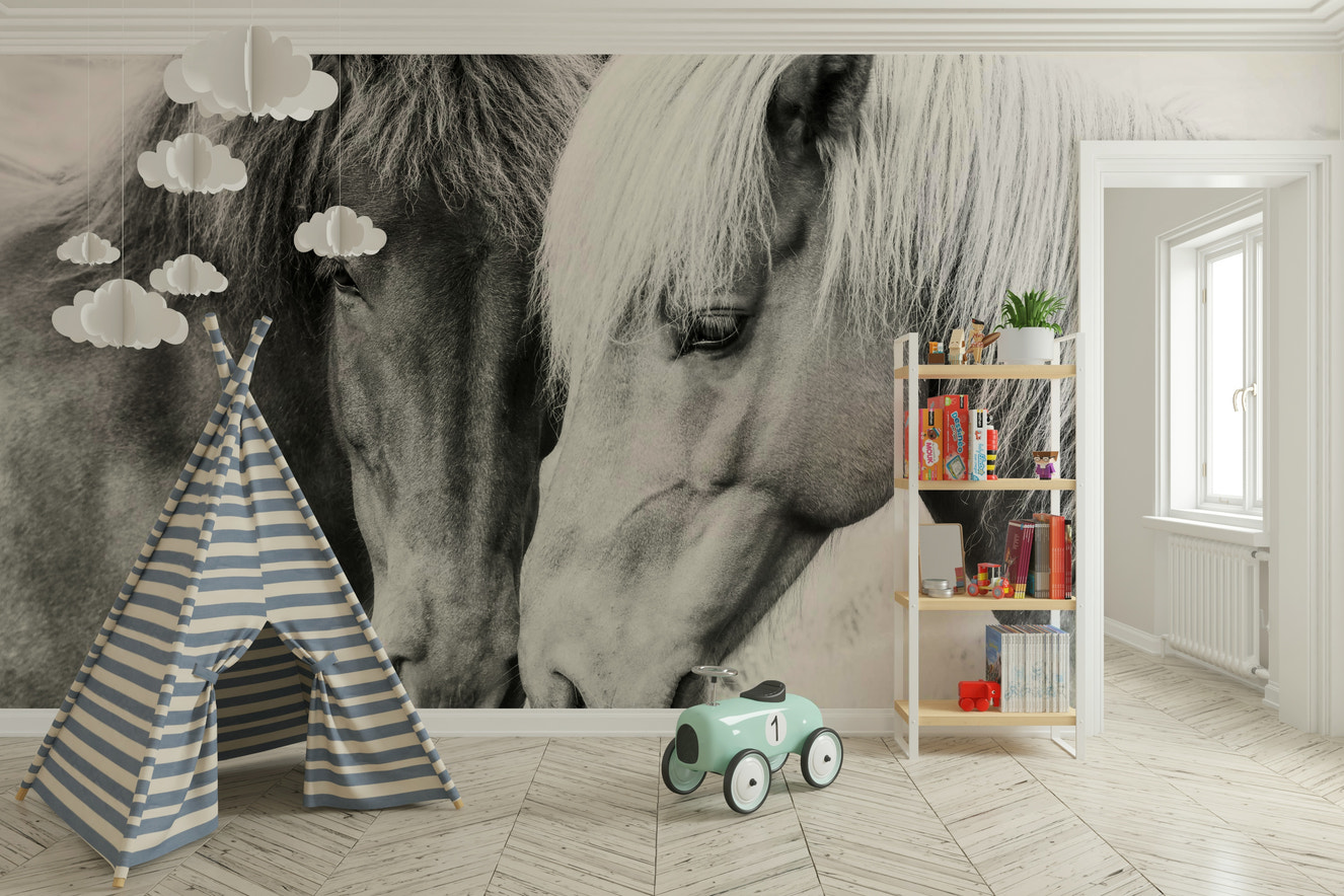 Charming animal photography or illustration.

