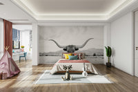 Longhorn in black and white.

