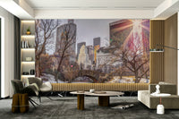 Sense of peaceful serenity in the city.

