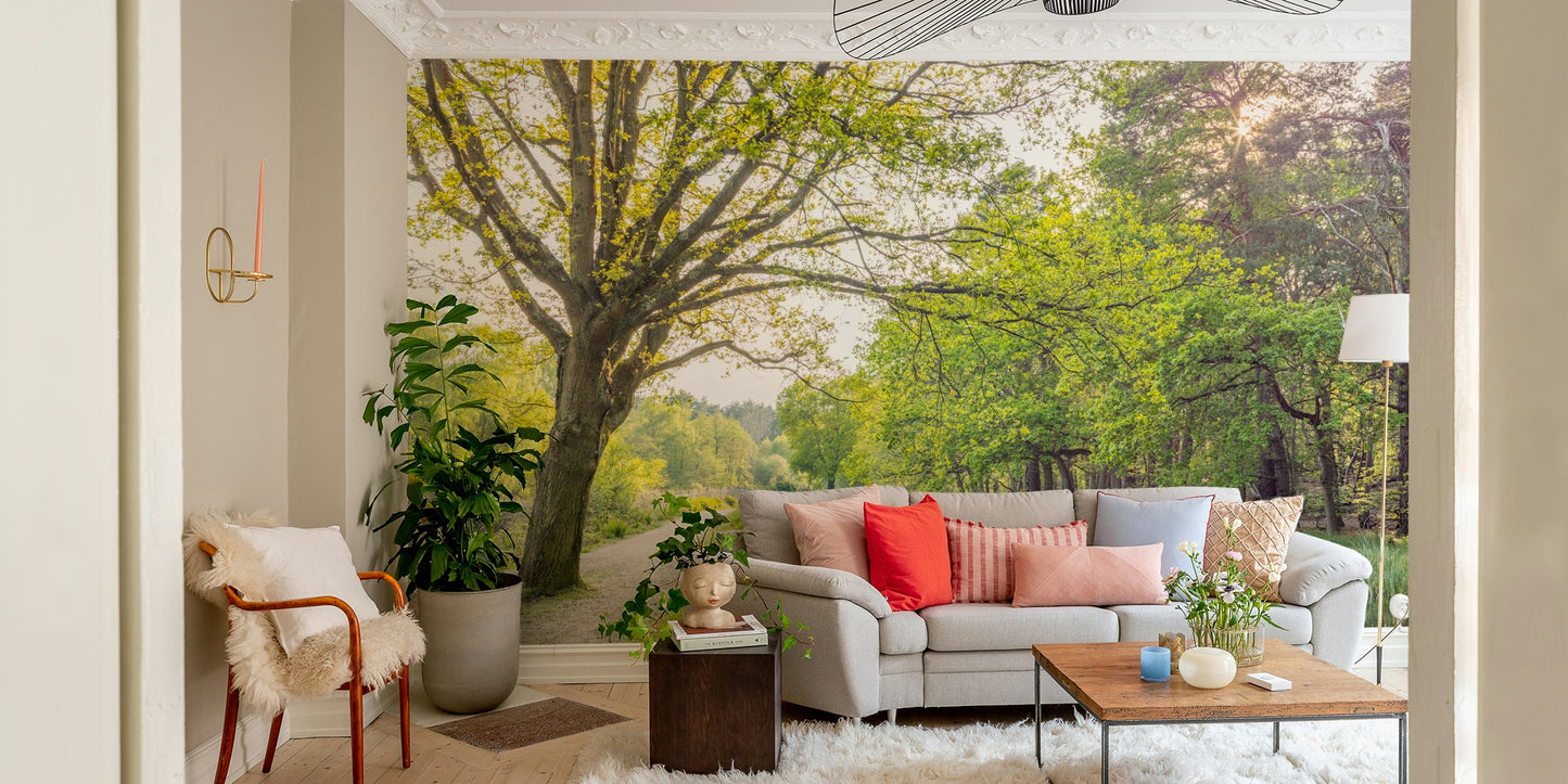 Canal path lined with trees.

