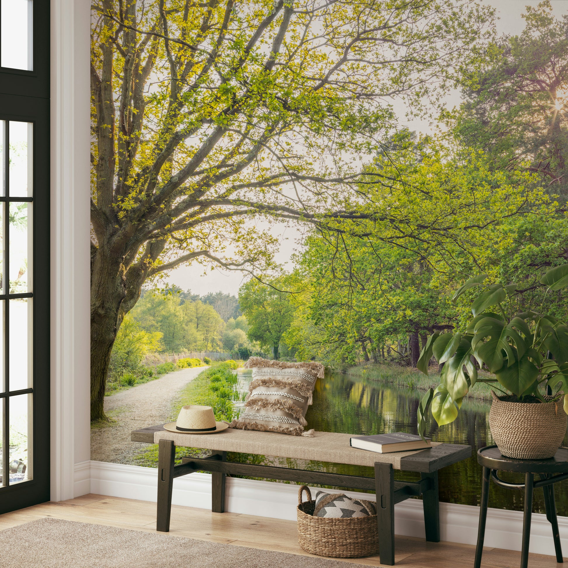 Soft, warm spring sunlight.

