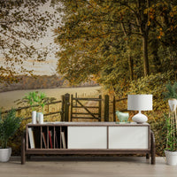 Introspection and peace.

