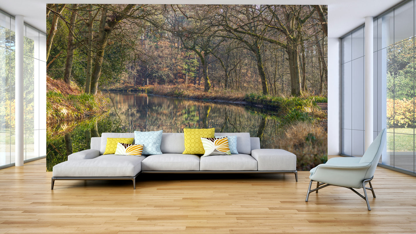 mirror-like reflection of a forest

