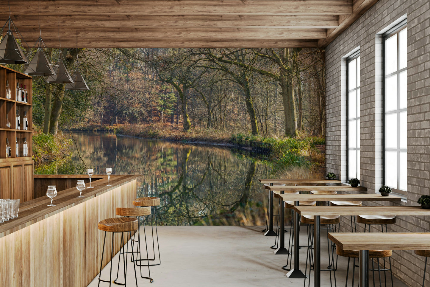 artistic reflective forest scene

