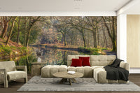 woodland mirror wall mural

