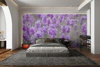 agricultural landscape wallpaper

