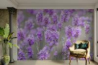 a vast field of lavender

