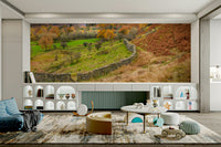 peaceful and expansive hill scene

