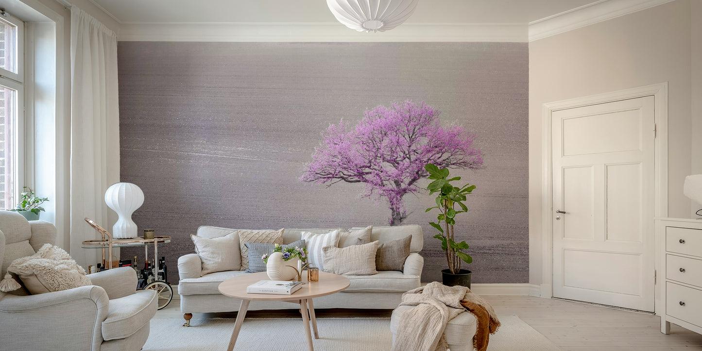 delicate orchid tree blossoms

