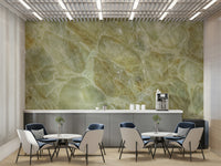 serene marble veins wall mural

