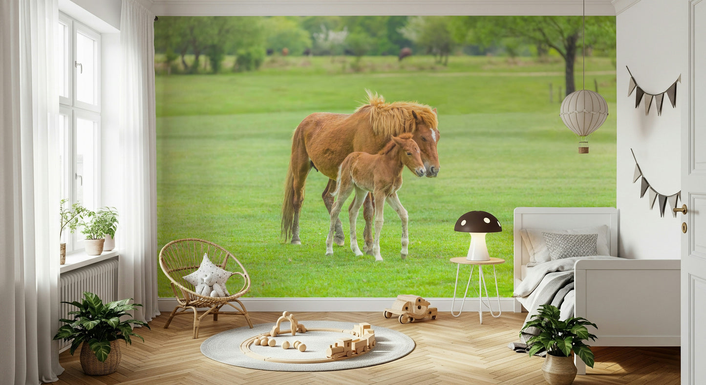 Foal's First Steps Wall Mural