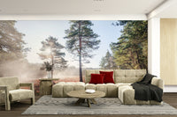 Sunlight filtering gently through fog.

