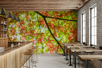 Sense of natural richness.

