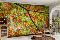 Dense display of fall foliage.

