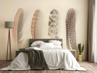 Various types of bird feathers.

