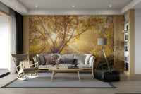 Grounded and calming aesthetic.

