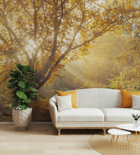 Focus on natural elements, light, and depth.

