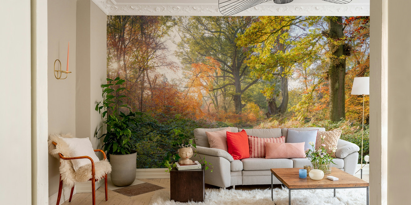 Woodland path winding through an autumn forest.

