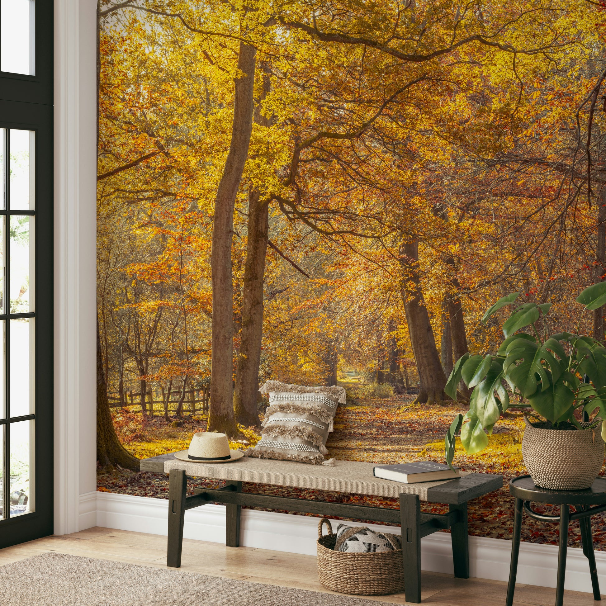 Vibrant and comforting aesthetic.

